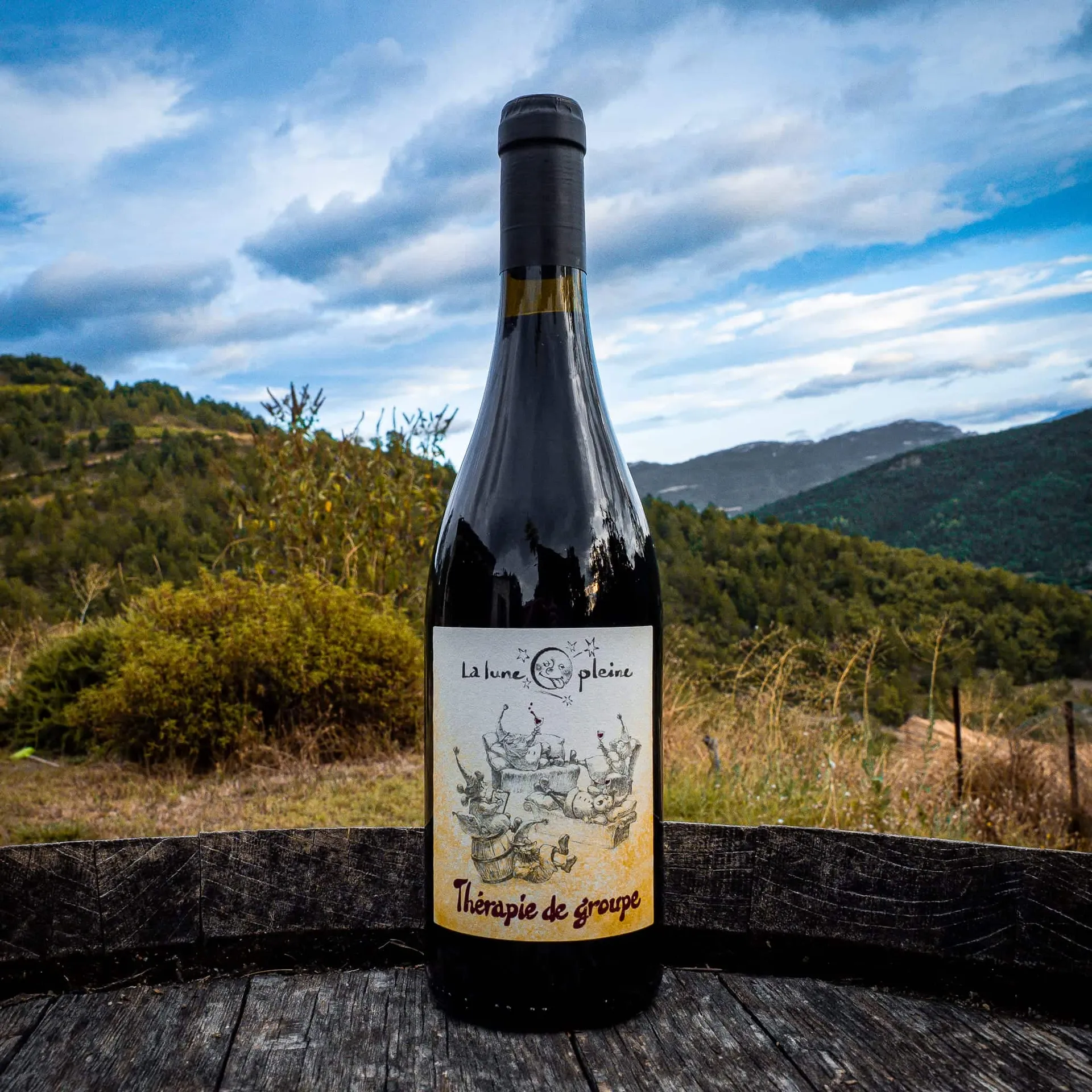 Thérapie de groupe 2023 - Vin nature